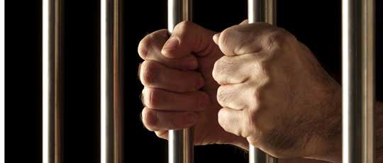 一键部署安装的短信轰炸器